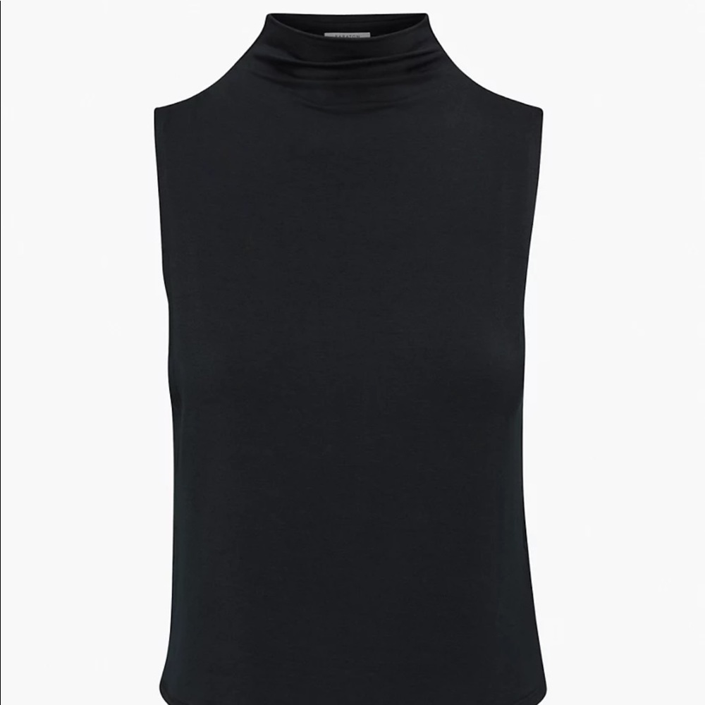Aritzia Babaton Tank